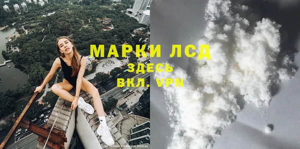 прущие грибы Сафоново