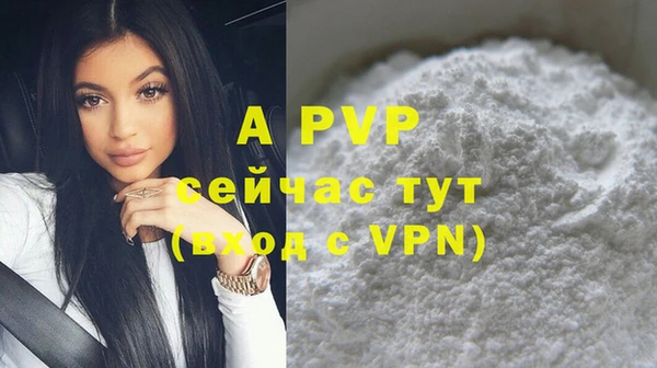 круглые Белокуриха